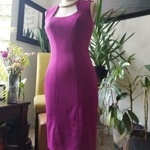 Cache Fitted Day Dress